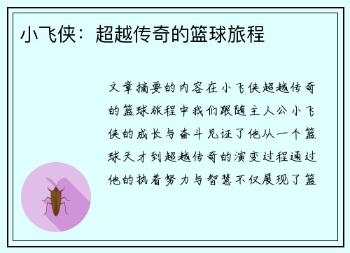 小飞侠：超越传奇的篮球旅程