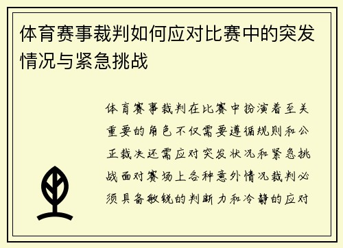 体育赛事裁判如何应对比赛中的突发情况与紧急挑战